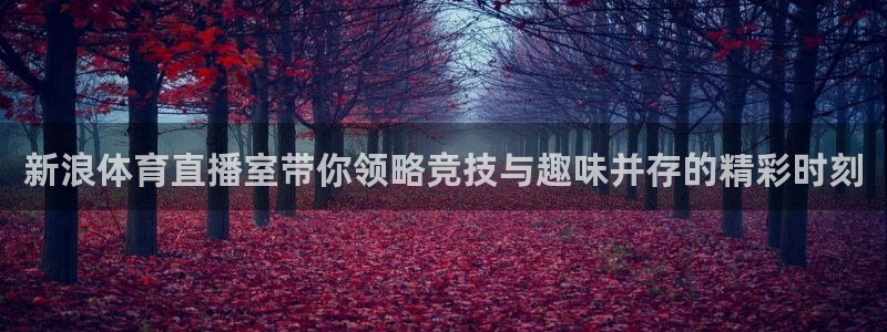 857nba体育赛事直播：新浪体育直播室带你领略竞技与趣味并存的精彩时刻