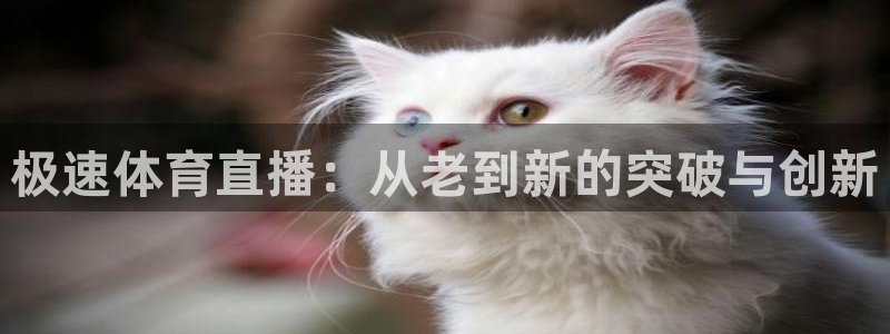 857直播体育nba回放：极速体育直播：从老到新的突破与创新