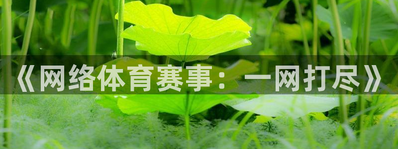 857足球直播间：《网络体育赛事：一网打尽》