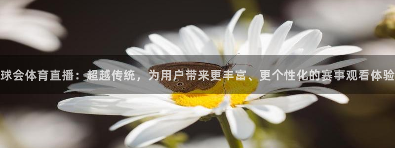 857足球比赛直播免费：球会体育直播：超越传统，为用户带来更丰富、更个性化的赛事观看体验