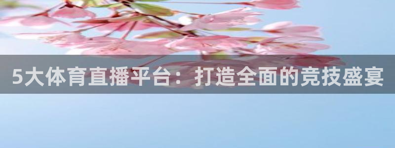 857直播足球：5大体育直播平台：打造全面的竞技盛宴