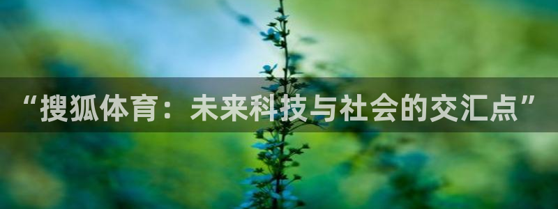 857体育赛事：“搜狐体育：未来科技与社会的交汇点”
