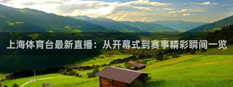 免费857直播体育nba：上海体育台最新直播：从开幕式到赛事精彩瞬间一览