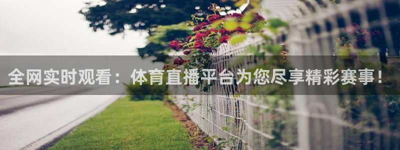 857直播体育在线：全网实时观看：体育直播平台为您尽享精彩赛事！
