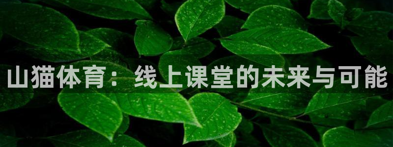857体育直播入口：山猫体育：线上课堂的未来与可能