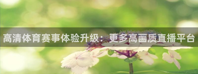 857直播看球直播间：高清体育赛事体验升级：更多高画质直播平台