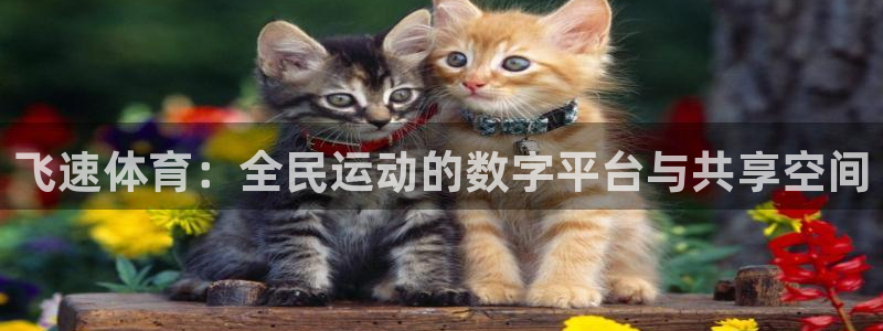 857直播体育在线观看：飞速体育：全民运动的数字平台与共享空间